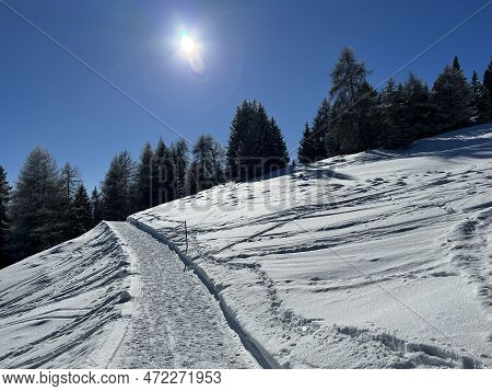Excellently Arranged And Cleaned Winter Trails For Walking, Hiking, Sports And Recreation In The Are