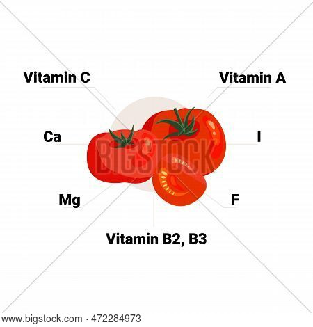 Vector Tomato With Its Vitamins And Minerals