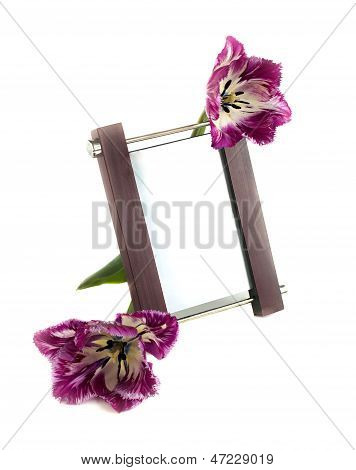 Frame And Tulips On A White Background