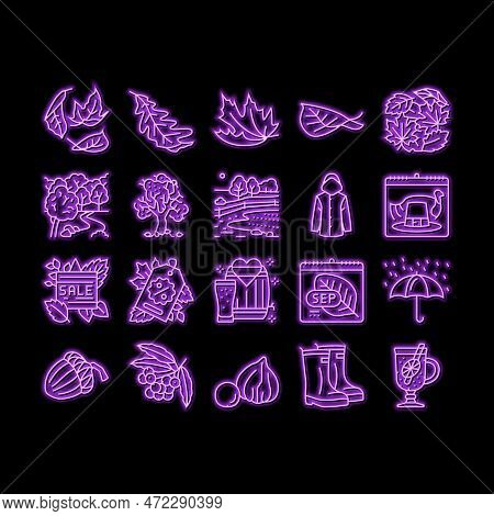 Mushroom Food Forest Fungi Neon Light Sign Vector. Fungus Champignon, Nature Fresh, Plant Autumn Por