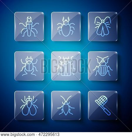 Set Line Insect Fly, Cockroach, Butterfly Net, Clothes Moth, Beetle Bug, Termite And Chafer Beetle I
