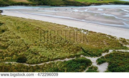 A Sandbank At Low Tide. Sandy Seashore Covered With Marram Grass. European Beachgrass. Green Grass N