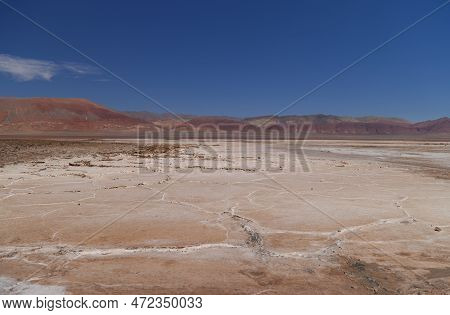 The Carachi Pampa Lagoon, Biosphere Reserve, Argentina. High Quality Photo