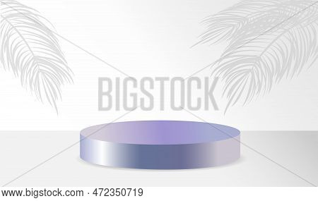 Studio With A Shadow Of Palm Leaves On The Wall, A Room With A Minimum Number Of Stands. Vector 3d S