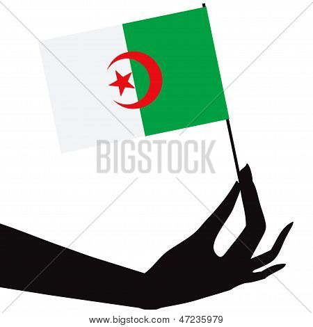손에 알제리 국기