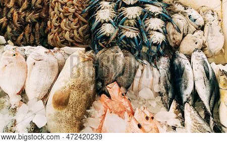 Fresh Fish On Display On Ice On Fishermen Market Store Shop. Seafood Fish, Shrimp, Blue Crab, Fresh 