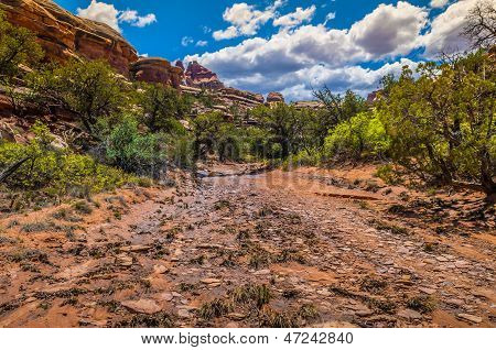 Dry River Bank