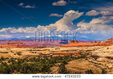 District d'aiguilles Canyonlads