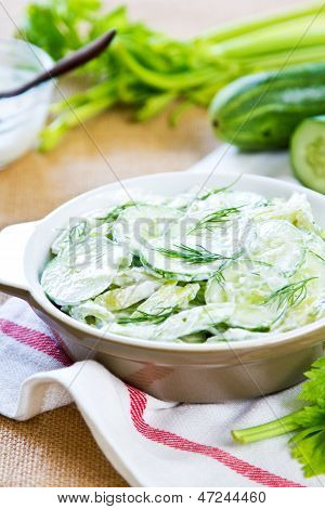 Cetriolo con sedano e insalata di aneto