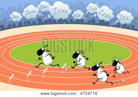 Pecore atletica