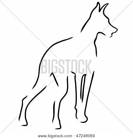Doberman disposition