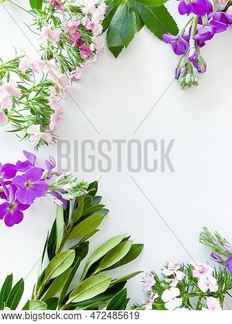 Dianthus, Gerbera, Chamomile, Laur. Floral A Frame