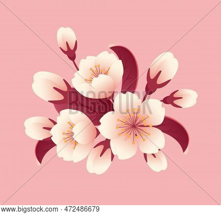 Bouquet Of Sakura Flowers, Buds And Leaves. Botanical Illustration In Realistic Style, Cherry Blosso