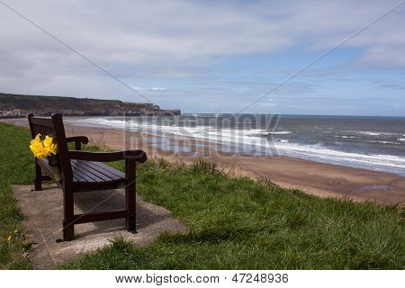 Bench At Seaside