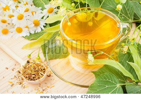 Linden, flores de manzanilla y saludable té, hierbas medicinales
