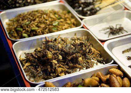 Exotic Food In Khao San Road At Night In Bangkok City, Thailand, Holidays And Traveling Concept