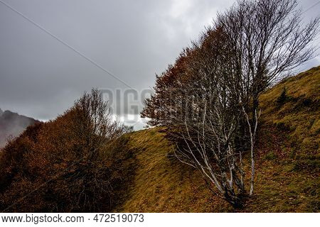 2022 10 23 Durlo Peaks And Fog 1