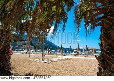 Rows Of Umbrellas And Sun Loungers Against Backdrop Of Palm Leaves On Public Sundy Beach At Sunny Da