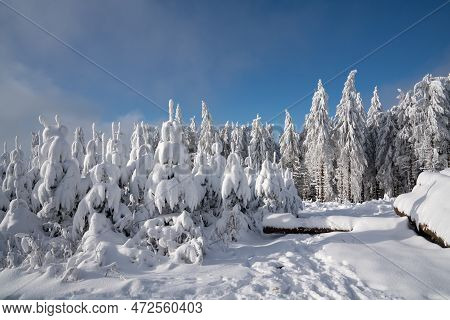 Panoramic Landscape Image Of Kahler Asten During Wintertime, Sauerland, Germany