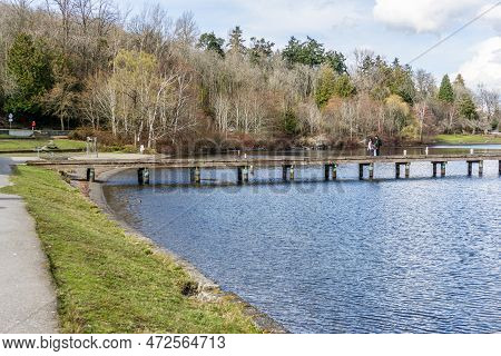 Trres Along Lake Washington In Seattle. It Is Early Spring.