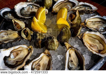Fresh Oysters And Whelk Platter With Lemon On The Ice. High Quality Photo