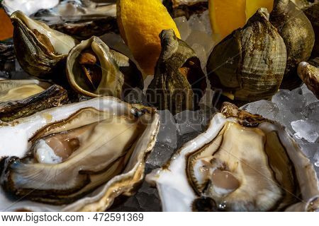 Fresh Oysters And Whelk Platter With Lemon On The Ice. High Quality Photo