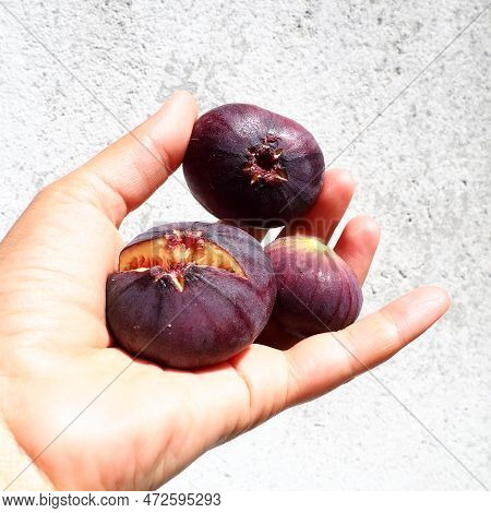 Fig Or Fig Tree, Or Common Fig Tree, Or Ficus Carica Is A Subtropical Deciduous Plant Of The Genus F