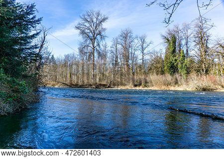 A View In Winter Of The Gren River Near Flaming Geyser State Park In Washington State.