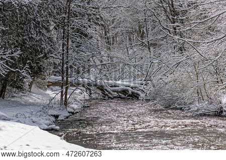 New Heavy Snow On The Park\nbranches Of The Tree Covered In New Snow In Wisconsin