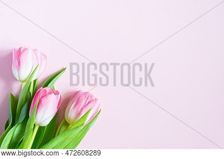 Bouquet Of Pink Tulips On Pink Background. Greeting Card For Mother's Day, Women's Day March 8, Vale