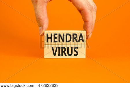 Hendra Virus Symbol. Concept Words Hendra Virus On Wooden Block. Beautiful Orange Table Orange Backg