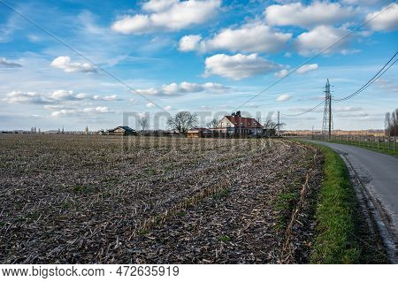 Cropped Corn Fields And A Road Towards Farms At The Flemish Countryside Around Ternat, Flemish Braba