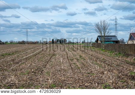 Cropped Corn Fields And Farmhouses At The Flemish Countryside Around Ternat, Brabant, Belgium