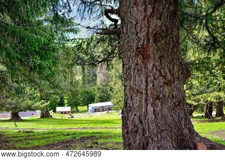 Spring Landscape Around Sailimu Lake In Xinjiang