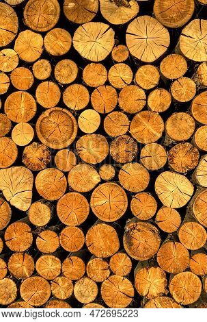 Wall Of Beautiful Yellow Firewood Pine Background