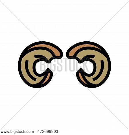 Bighorn Horn Animal Color Icon Vector. Bighorn Horn Animal Sign. Isolated Symbol Illustration
