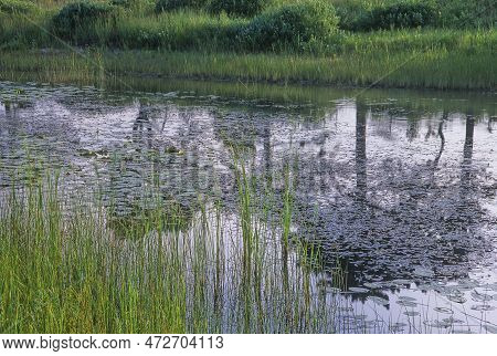 Reflections Filter Through Lilypads On The Dead River As It Flows Through A Summer Landscape In Late