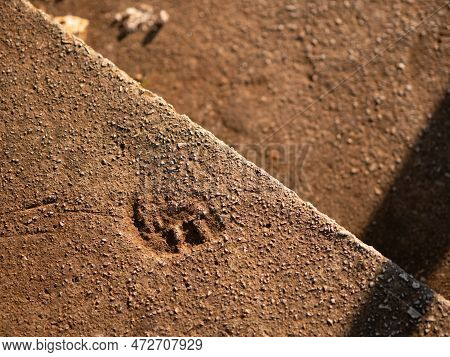 Concrete Steps With Boot Or Shoe Sole Prints. Camera Moves Up Stairs. Concept Of Eternity, Career, L