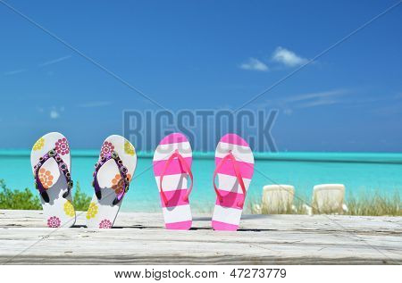 Dva páry žabek proti Atlantiku. Exuma, Bahamy