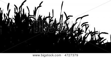 잔디 벡터 Ilustration