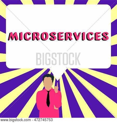 Text Sign Showing Microservices. Internet Concept Software Development Technique Building Single Fun