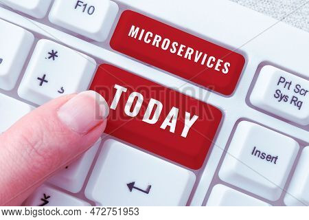 Text Caption Presenting Microservices. Business Approach Software Development Technique Building Sin
