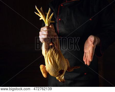 Raw Fresh Rooster In The Hand Of A Cook In A Restaurant Kitchen. Presentation Of A Cock Before Cooki
