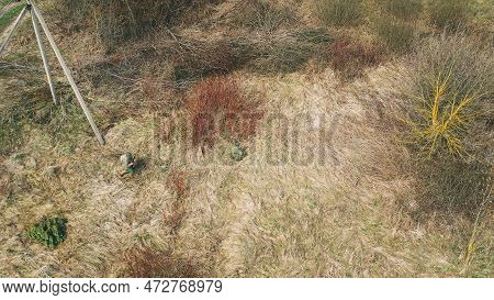 Men Dressed As Us American Soldiers Of Usa Infantry Of World War Ii Sneaking Around In Spring Autumn