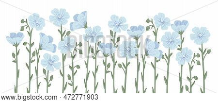 Blue Linum, Flax, Field Flowers, Vector Drawing Wild Plants At White Background, Floral Elements, Ha