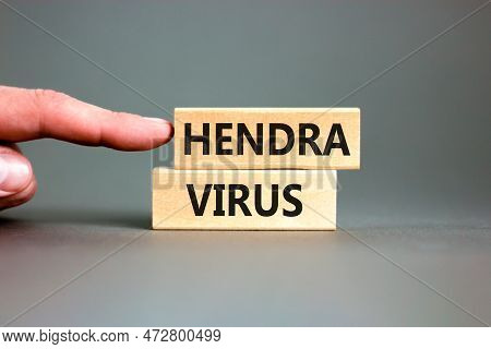 Hendra Virus Symbol. Concept Words Hendra Virus On Wooden Block. Beautiful Grey Table Grey Backgroun