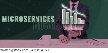Conceptual Display Microservices. Business Idea Software Development Technique Building Single Funct