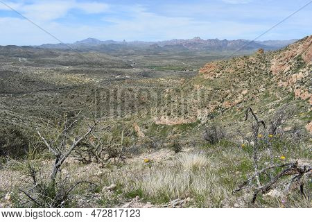 Spring In The Superstition Mountains, Hiking Picketpost Mountain