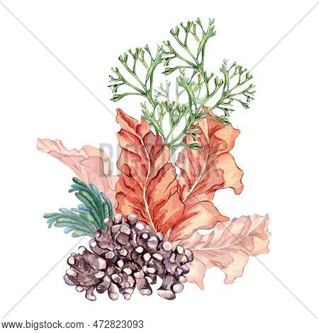 Composition Of Colorful Sea Plants Watercolor Illustration Isolated On White.