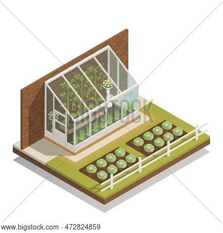 Traditional Lean-to Glass Greenhouse With Young Plants  Isometric Composition Of Greenery And Outdoo